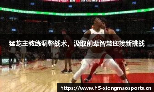 猛龙主教练调整战术，汲取前辈智慧迎接新挑战