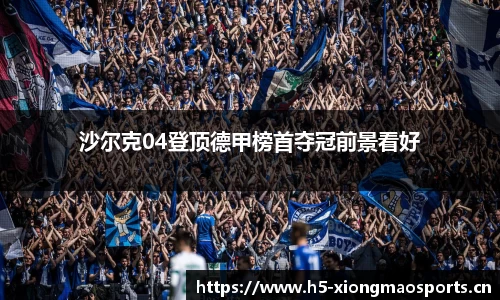 熊猫体育官网