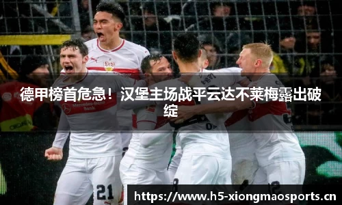 熊猫体育官网