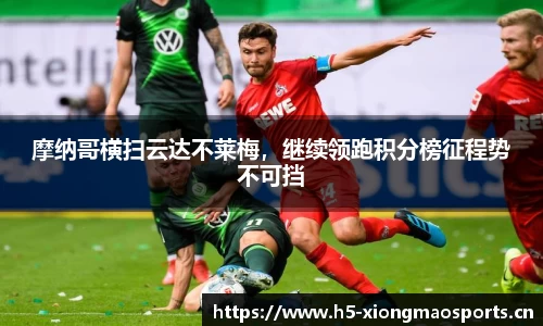 熊猫体育平台