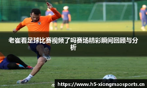 熊猫体育官网